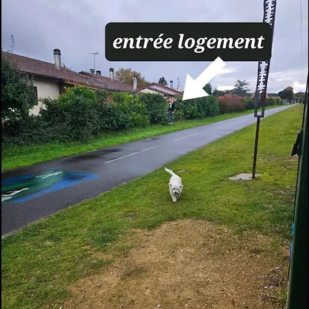 Avec Cuisine Et Jardinet Proche Soustons