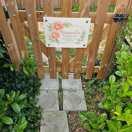 Avec Cuisine Et Jardinet Proche *