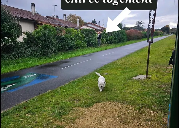 Avec Cuisine Et Jardinet Proche Soustons